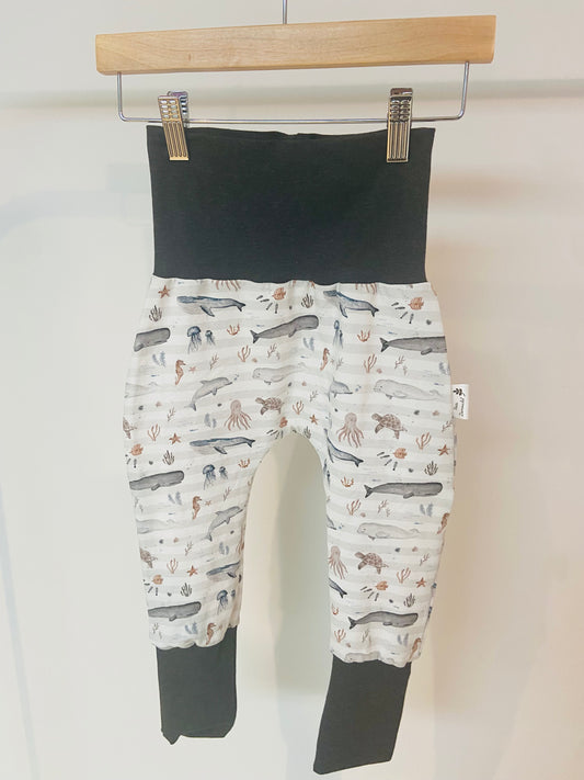 Pantalon évolutif animaux de la mer