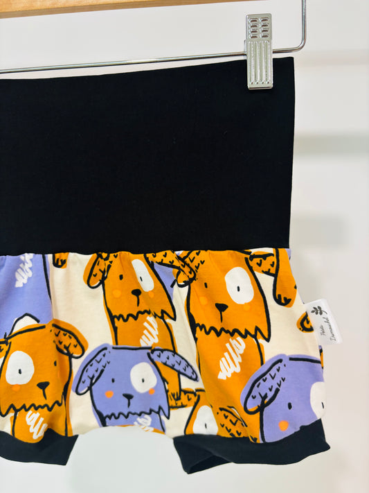 Short évolutif chien coloré