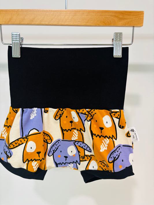 Short évolutif chien coloré